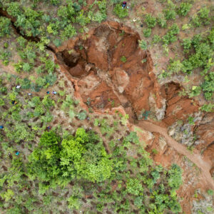 Enyezini aerial gully & planting holes